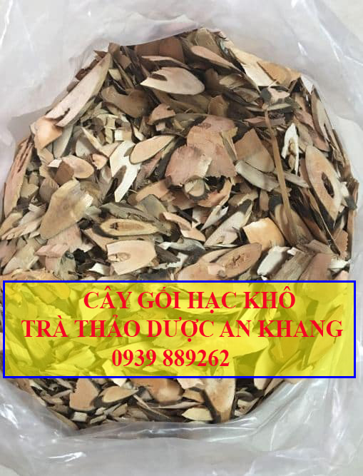 rễ cây gối hạc khô Trà thảo dược An Khang